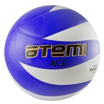 Мяч в/б ACE, PVC, бел/син, 12 панелей